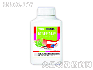 ������-ֲ������Һ