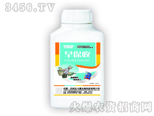 ������-������