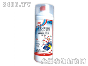 �x��-���������