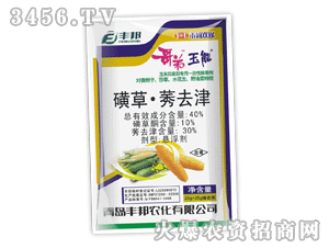 �������-�ǲ�ݬȥ��