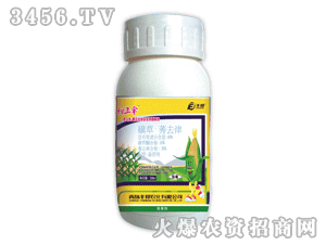 �����-�ǲ�ݬȥ��