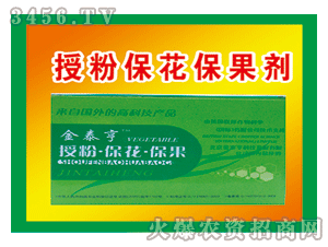 ��̩��-�ڷ۱���������