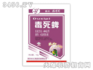 �ڵ���-������