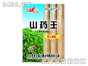 ���-ɽˎ��