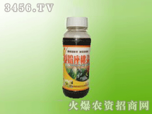 ����-�ڷ������`