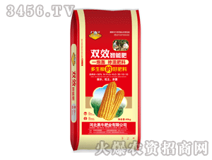 ��ţ-һ���Z�pЧ���ܓ������