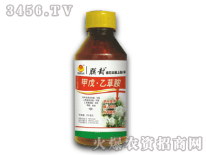 ̩�(y��ng)-Ĥ��