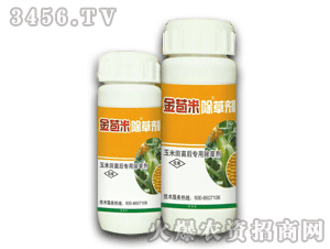 ̩�(y��ng)-����׳��݄�