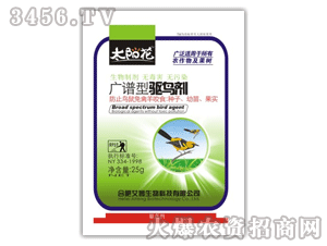 ���S-�V�V���(q��)�B��