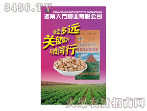 ��-ǧ���_�h��