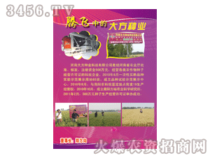 ��-�v�w�еĴ󷽷N�I(y��)