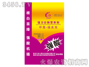 С����-���������I�B(y��ng)��