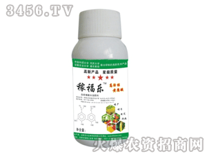 �ٴ�-�ڸ���