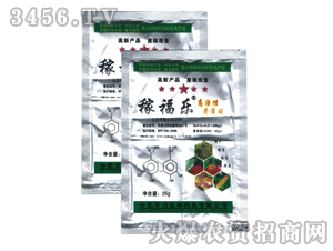 �ٴ�-�ڸ���������