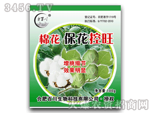 �ٴ�-�޻���������