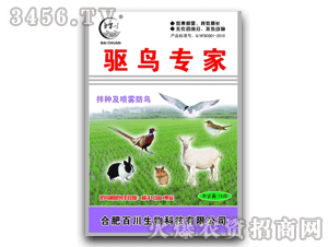 �ٴ�-�(q��)�B����