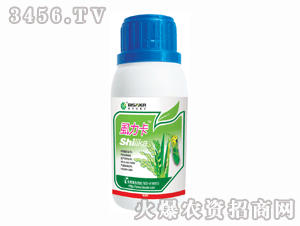 ��ِ��-ʭ����