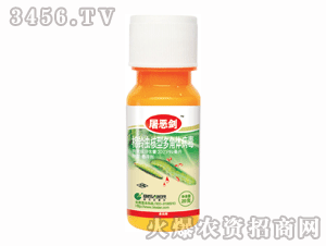 ��ِ��-������