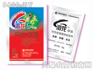 ��ِ��-����1+1