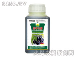 ������-���S�~�����ь���