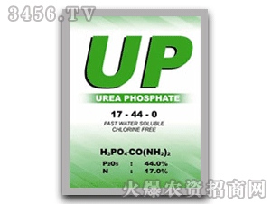 ��������-�����壨UP��