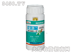 ���_(d��)-ȫ������������