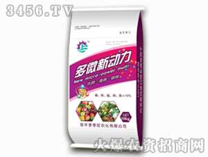 ������-��΢����