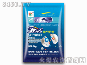 ������-����