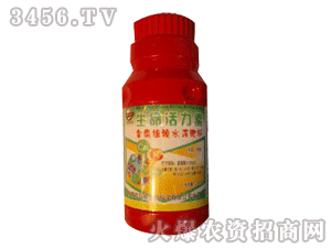 �W��˹-����������