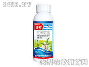 ����-(li��n)������