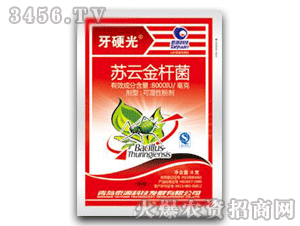 ��Ӳ��-�K�ƽ�U��