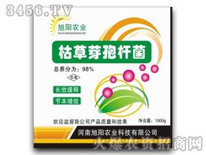 �ݲ�ѿ�ߗU��