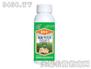 ���݃�-���������`