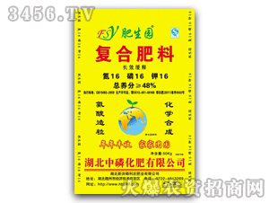 �����@16-16-16cl