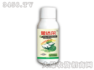 ���_(d��)�������ײݰ�����