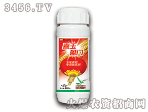 ̩�(y��ng)-ϲ��ӯ�T