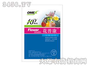 ���-���տ�