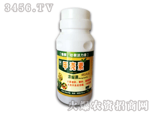 ����ʘI(y��)-�ך��؝�sҺ