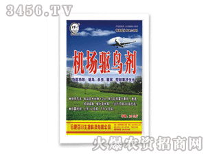 �ٴ�-�C(j��)���(q��)�B��