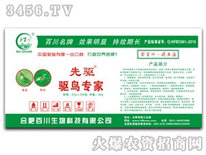 �ٴ�-���(q��)-�(q��)�B����