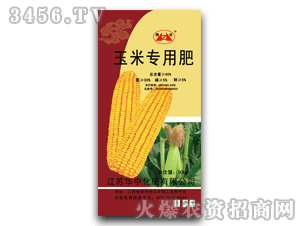 �A��-����-���׌���