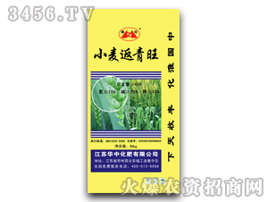 �A��-����-С��������