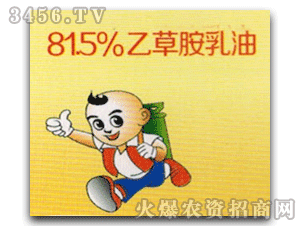 ���h-81.5%�Ҳݰ�����