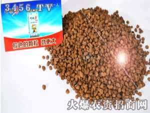 志同道合-巧棵力-顆粒實物