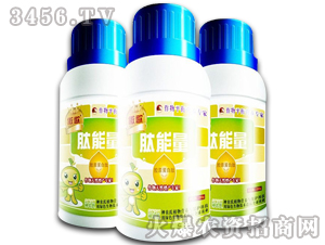 ������-����