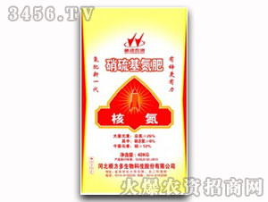 ���������-�˵�