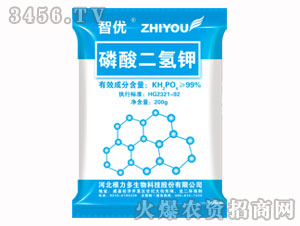 �ǃ�(y��u)��������