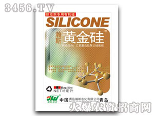 �S���ֲ�����L�{(di��o)��(ji��)��