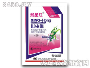 10%���x(ch��ng)��-��Ǽt