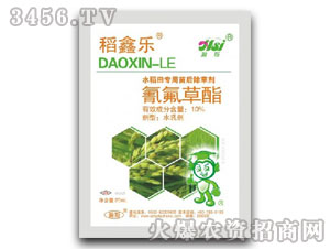 10%�������-���Θ�